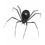 Big Black Creepy 3D Spider Tee Shirts