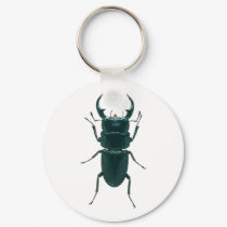 Big Black Dung Beetle keychains by OutDoorWorld Big Black Dung Beetle keychains