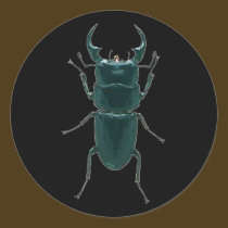 Big Black Dung Beetle stickers