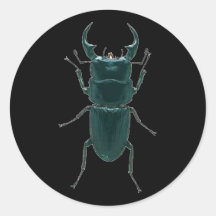 Big Black Dung Beetle Stickers