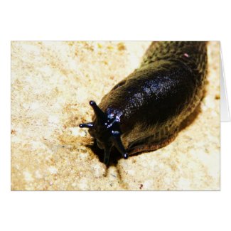 Big Black Slug card