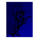 Big Black Stallion Shadowed Poster posters