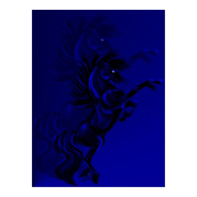 Big Black Stallion Shadowed Poster by Lotacats