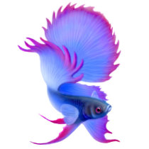 Big Blue Betta Fish Ladies V-Neck t-shirts