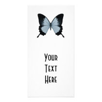 Big Blue & Black Butterfly Photo Card