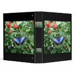 Big Blue Butterfly 2 Avery Binder