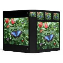 Big Blue Butterfly 2 Binders