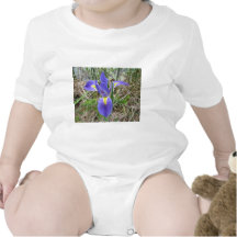 Big Blue Louisiana Iris Baby Creeper