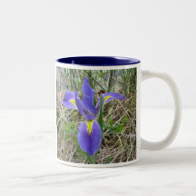 Big Blue Louisiana Iris Mugs