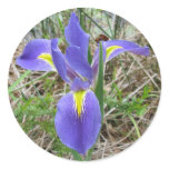Big Blue Louisiana Iris Stickers