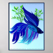 Big Blue Siamese Fighting Fish Posters