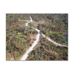 Big Branch Marsh National Wildlife Refuge before/a Postcards