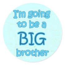 Big Brother Blue Stickers