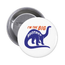Big Brother Button