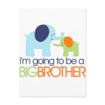Big Brother Elephant T-shirt Post Card