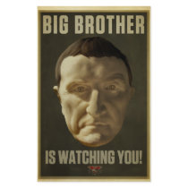 Big Brother Flyer