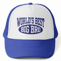 Big Brother Mesh Hats