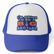 Big Brother Mesh Hat