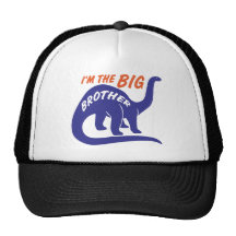 Big Brother Hat