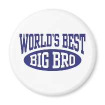 Big Brother Refrigerator Magnets