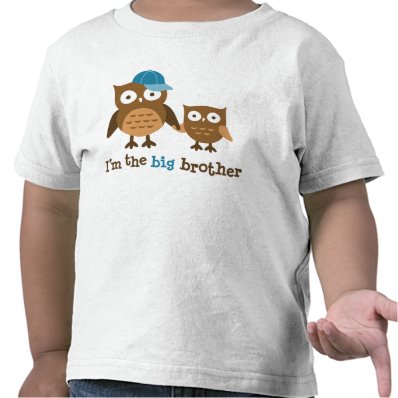 Big Brother Mod Owl t-shirts for boys