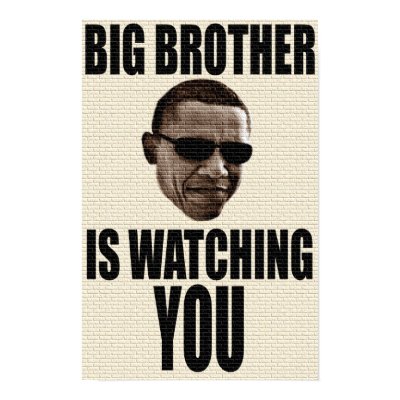 Big Brother Govt meddling