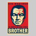 Big Brother: Obama parody poster posters