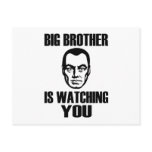 Big Brother Portrait Postcard