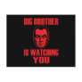 Big Brother Portrait Postcard