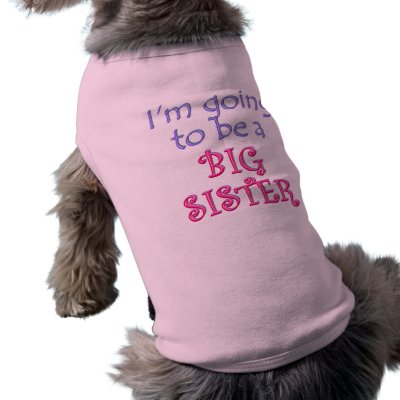 Big Brother/Sister Pet T Shirt