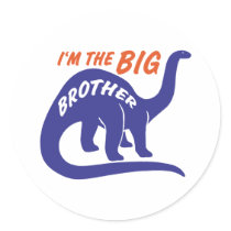 Big Brother Stickers