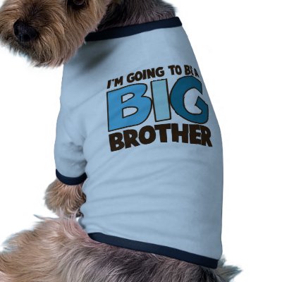 big brother t-shirt dog tee shirt