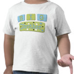 Big Brother Tee Shirt
