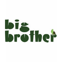 Big Brother t-shirts