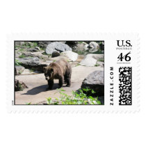 Big Brown Bear postage by lestat730 Big Brown Bear postage