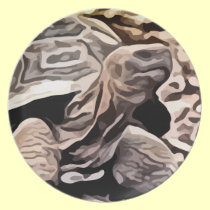 big brown turtle painting plates