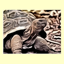 big brown turtle painting postcards