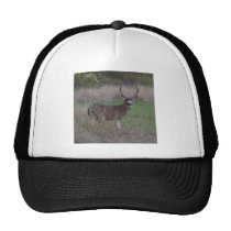 Big Buck Four-Pointer hats