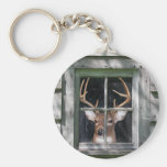 Big Buck Key Chain