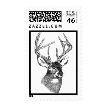 BIG BUCK STAMPS