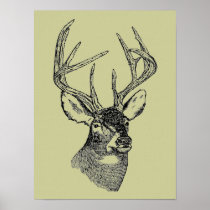 BIG BUCK POSTERS