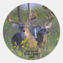 Big BucksBy Kay Miller2007 Round Stickers