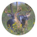 Big BucksBy Kay Miller2007 stickers