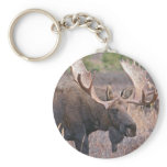 Big Bull Moose Keychains