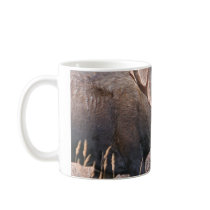 Big Bull ose Mugs