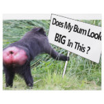 Big Bum Sign with Monkey Photo flyers
