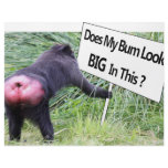 Big Bum Sign with Monkey Photo letterhead