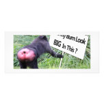 Big Bum Sign with Monkey Photo Custom Rack Card