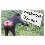 Big Bum Sign with Monkey Photo Stationery Paper