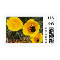 Big Bumble Bee Bob on California Golden Poppy Flow postage by aestheticchaos Big Bumble Bee Bob on California Golden Poppy Flow postage